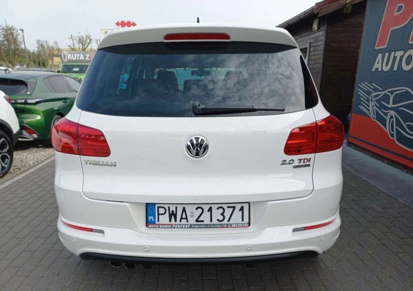 Volkswagen Tiguan cena 65900 przebieg: 169000, rok produkcji 2013 z Koluszki małe 277
